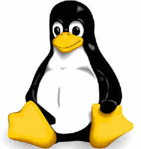 Linux Kernel