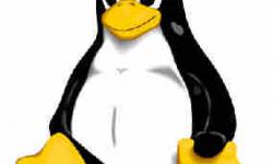 How to Check Kernel Version on Linux & Mac